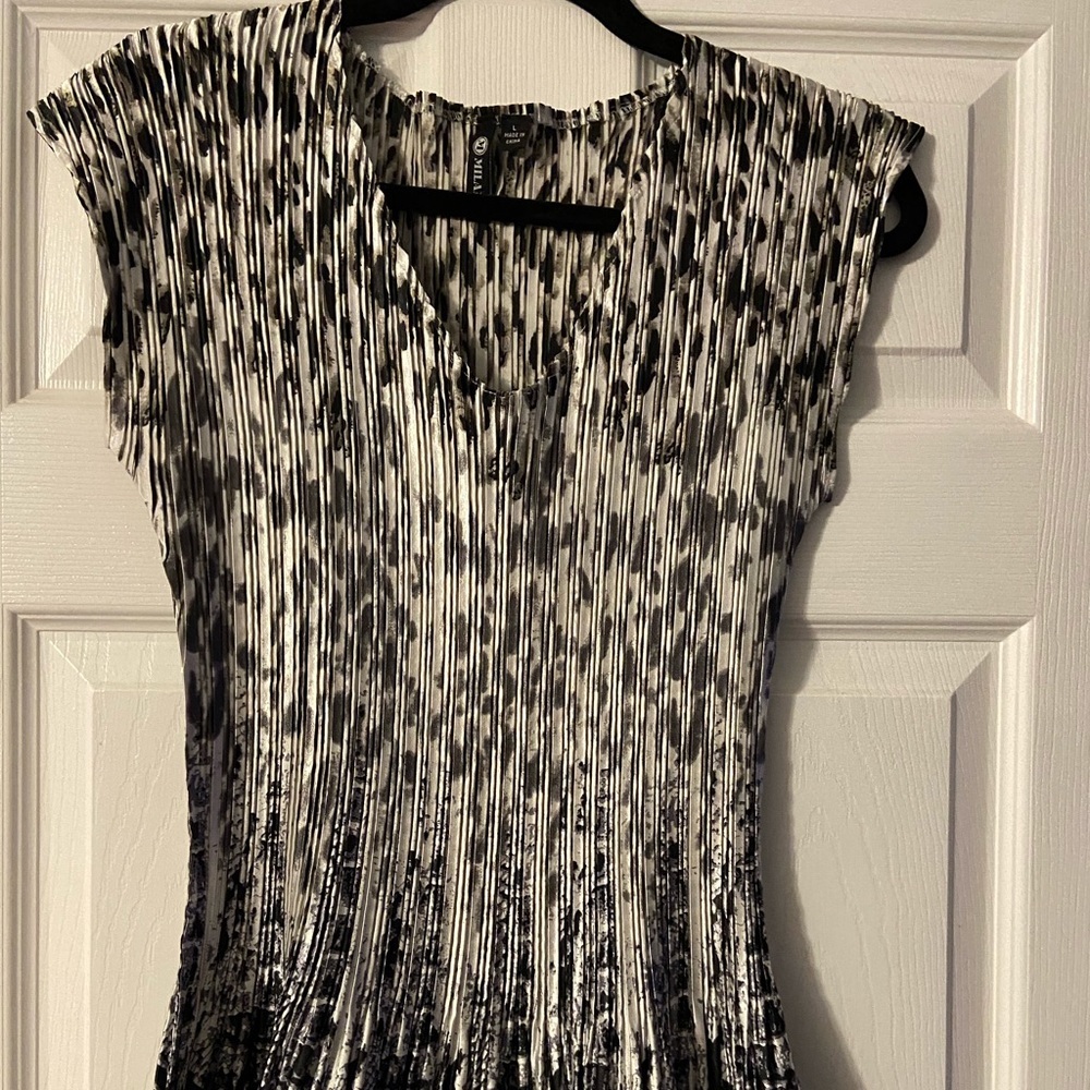 Woman’s Dress Blouse
